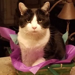 Meet your Posher, Renee